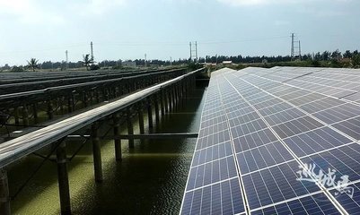 光伏发电设备为何在湛江村长恶行风波中被提及？——从个案反思基层组织整治新思路